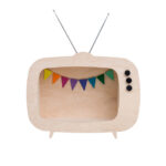 Television model